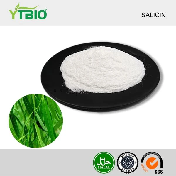 Salisin Tozu