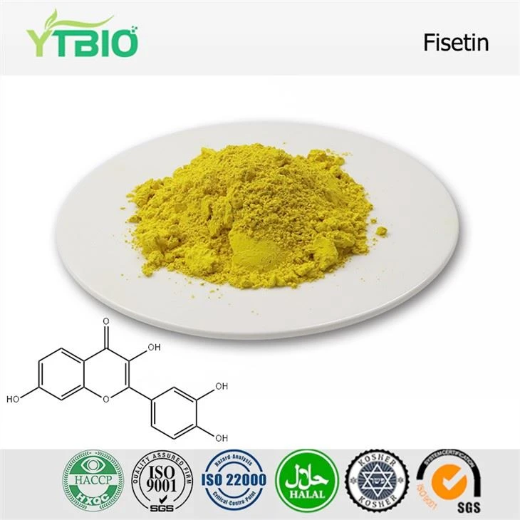 Fisetin Tozu
