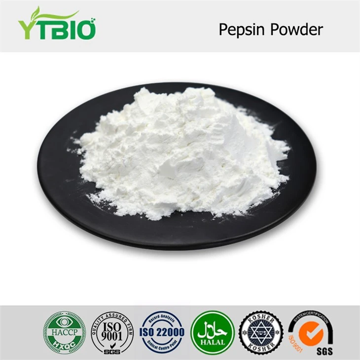 Pepsin Tozu