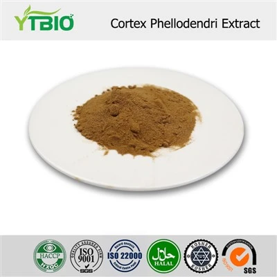 Cortex Phellodendri Özü