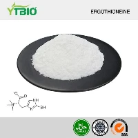 Ergothionein tozu vücutta nasıl etki gösterir?