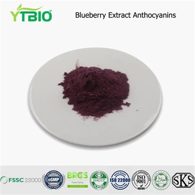 Yaban mersini özü antosiyaninler