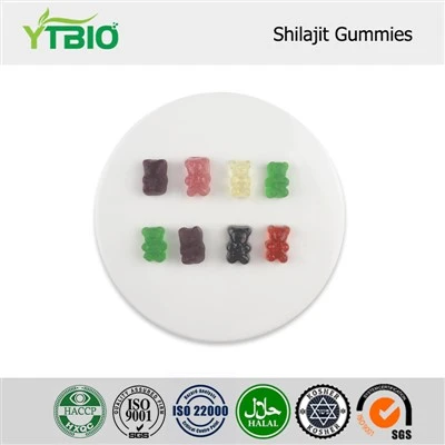 Shilajit Sakızları