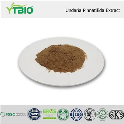Undaria Pinnatifida Özü